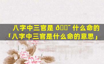 八字中三官是 🐯 什么命的「八字中三官是什么命的意思」